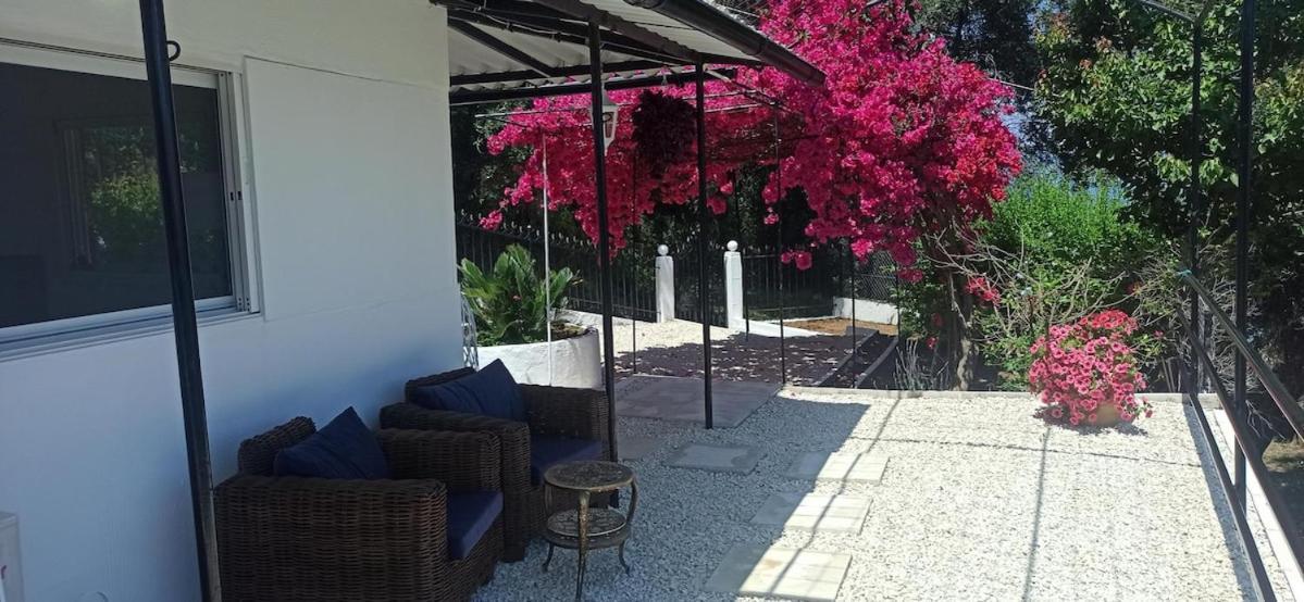 Seaview Mini With Private Pool - 200 Metres From The * Perama (Corfu)